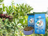 Kalena Pack of 10 Units Yerba Despalada X 500 Grs 1