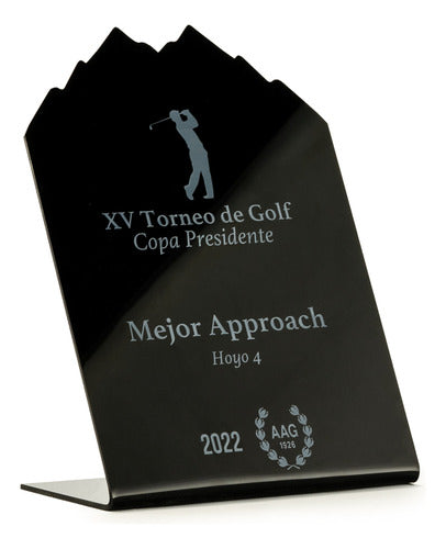 10 Distincion, Trofeo, Premio En Acrilico Negro Con Logo 1