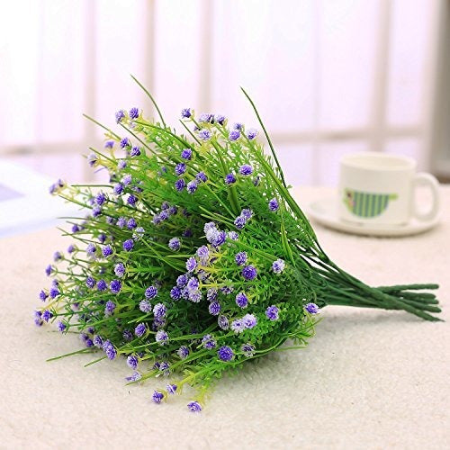 Jaky Global Aqua Plant 6 Pack of Babysbreath 4