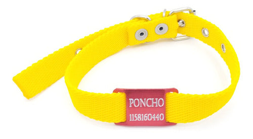 MEDALLAS PARA PERROS Chapitas Perros Pasador Rojo + Collar Amarillo 2cm Ancho 0