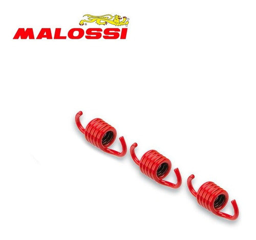 Malossi Clutch Springs for Yamaha N Max 155 - Red 1