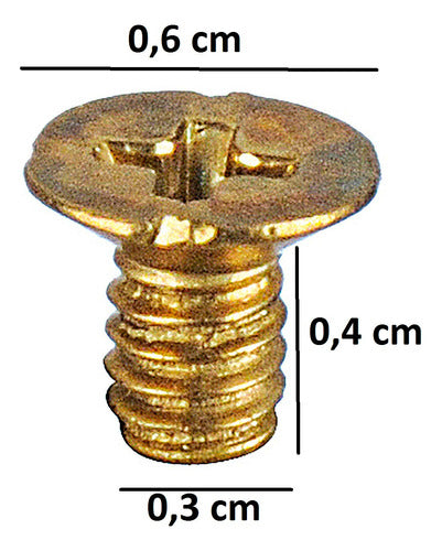 Tornillo 5/32 X 1/4 De Bronce Para Reja Rejilla Pack X10 Un 1