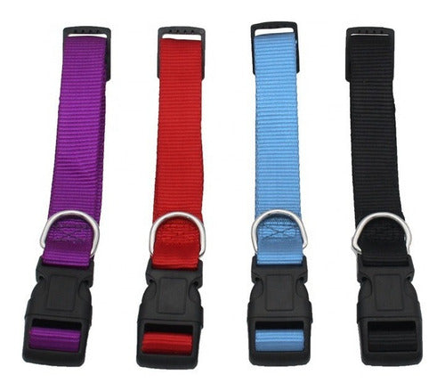 Nylon Collar and Leash Set for Dogs and Cats Various Sizes 57