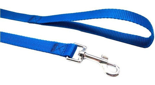 Nylon Collar and Leash Set for Dogs and Cats Various Sizes 5