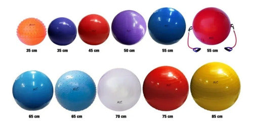 Fitness Gym Ball 55 cm 1000g 3