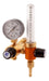 Argenflow Mini CO2 Piston Regulator with Flowmeter 0