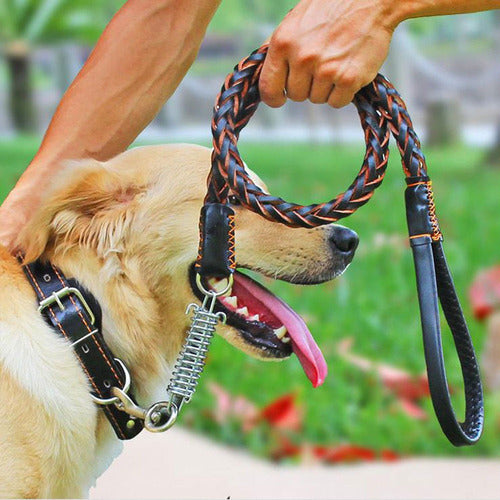 Correa De Cuero De Perro, Perros Grandes Mascotas Entrenamie 3