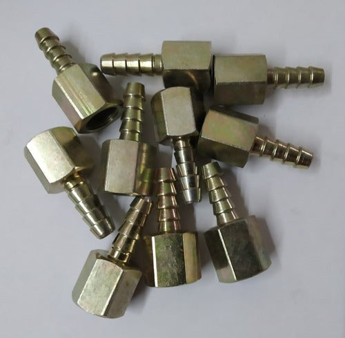 VIGOMAQ 10 Female Thread Connectors 1/4 to 8mm Hose 1