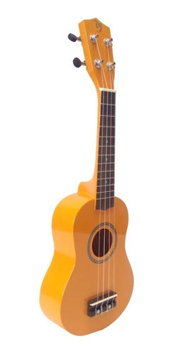 Dy Ukulele Soprano Classic - Professional Musicians' Choice + Colors + Case 4