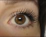 L'Oréal Paris Mascara Voluminous Waterproof + Infallible Eyeliner 1