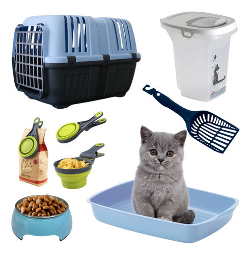 Pethome Kit De Bienvenida Gato Gatito Litera Palita Accesorios Combo 0