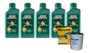 5 Lts Castrol Magnatec 10w40 Mitsubishi + Filtro Psl55 0