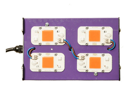 Amnesia LED Indoor Full Spectrum 200W Cultivation Panel 1