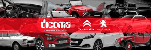 Resorte Patin Freno Trasero Ami 8 Citroen 3