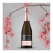 Deseado Champagne Dulce Natural Rose Flia. Schroeder Regalo 2