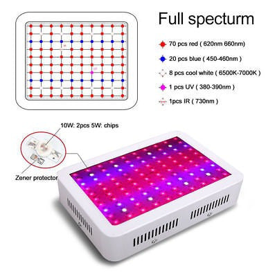 Colofocus 600w Completo Espectro Hydro Led Crece La Luz De L 1