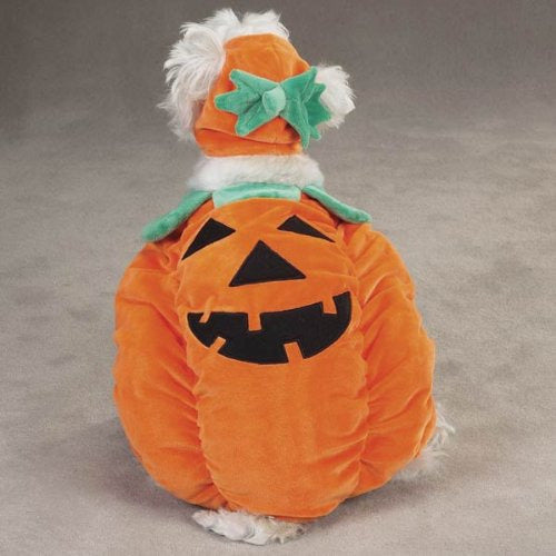 Zack & Zoey Pumpkin Dog Costume XL Orange 3