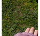 Pink Fingerless Gloves / Youthful Fashion 2023 3