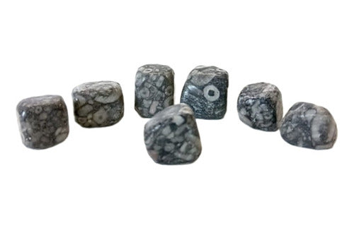 Fossil Jasper Tumbled Stone - Ixtlan Minerals 0