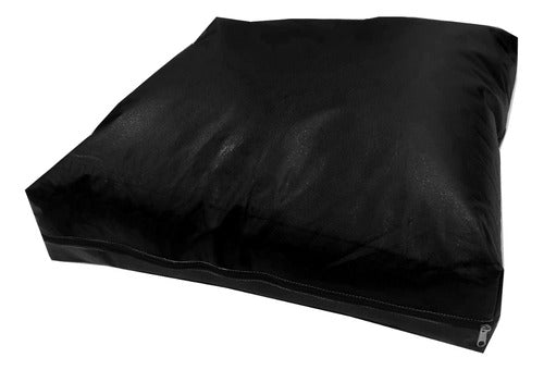 Set of 4 Eco-Leather 60x60x10 Cushions for Algarrobo Armchair 0