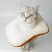 Popetpop Funny Pet Bread Disfraces - Lindo Collar Creativo C 1