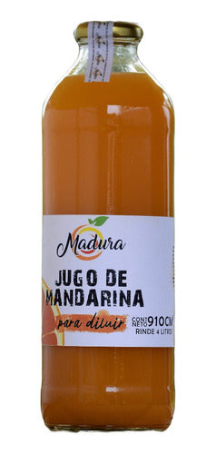 Madura Orange Natural Juice Concentrate, 2L Yield, Glass Bottle 1