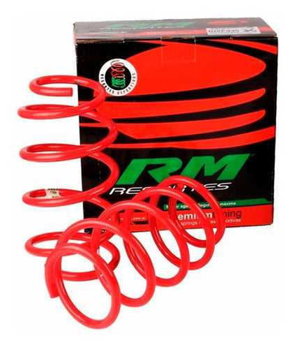 RM Kit 2 Front Progressive Springs for Renault 9 / 11 1