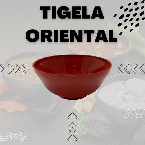 Kit 10 Tigelas Domburi Vermelho 300ml Pequena Udonbati Bowls 2