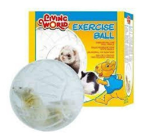 Large 29cm Clear Acrylic Exercise Ball for Small Pets by Living World 0