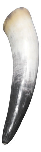 Viking Horn 24 cm 1