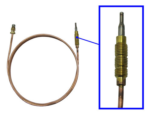 Thermocouple Kitchen Florencia for Arthur Martin Aurora B 1