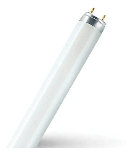 LED Tube Light + Power 2100 Lumens + 50000 Hours Lifetime 4000K 0