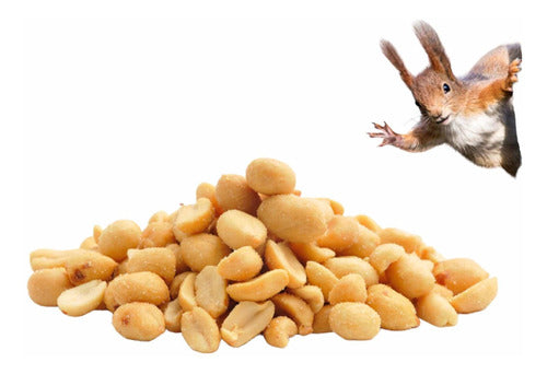 Roasted Salted Peanuts 800 Grams | Premium 0