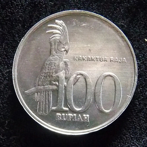 Indonesia 100 Rupias 2000 Sin Circular Cacatua Real 0