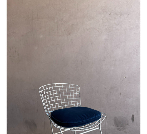 Small Workshop Bertoia Chair Cushions 35