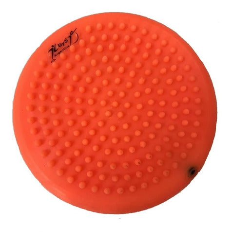 DYS Mini Balance Disc Pad 19cm Colors 4