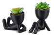 Woodword Suculentas Falsas, Mini Plantas Suculentas Negro, 2 0