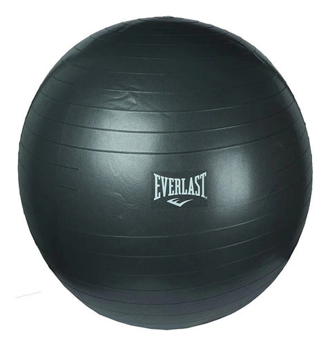 Everlast Fitness Ball 65cm - Free Shipping Nationwide 0