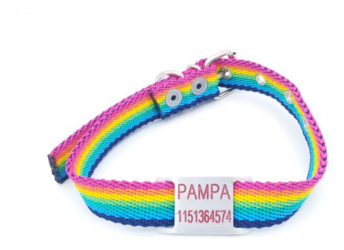 Medallas Para Perros Chapita Para Perro Pasador Chico (Mod 28) + Multicolor Collar 0