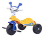 Triciclo Infantil Biemme De Pedal Motoca Smile Dodô 0