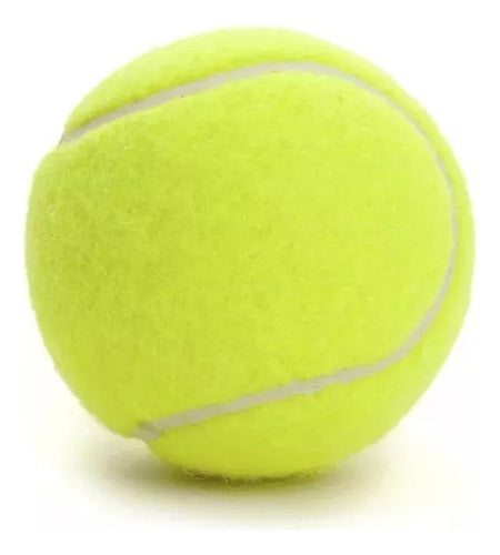 Compranet Tennis Ball Set X3 Units for Pets 1