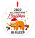 PETCEE Christmas Ornaments 2022, Fun Sloth Ornaments 0