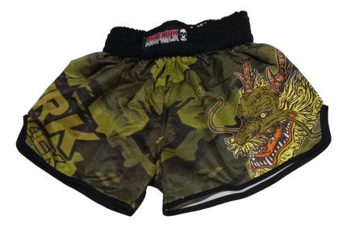 Pack of 2 Martial Arts Shorts 2