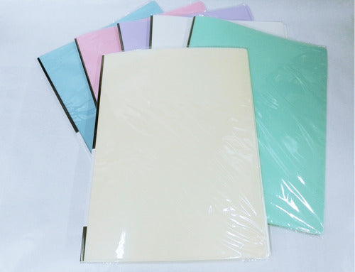 Chanyi A4 Folder with 10 Pastel Colored Sleeves 1