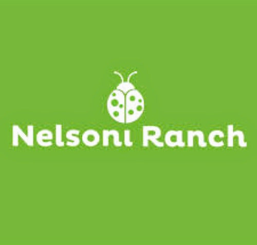Nelsoni Ranch Bird Food Alpiste x 750g 2