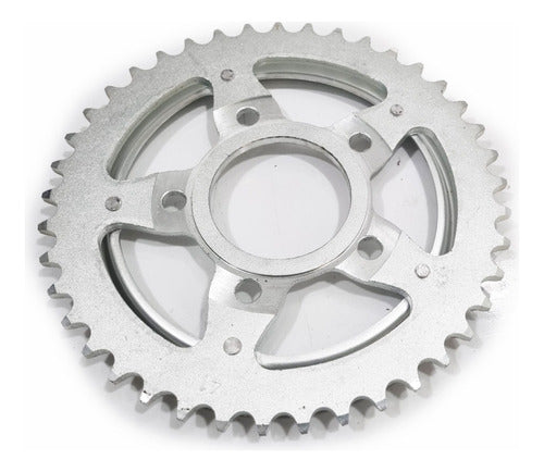 REINF Honda XR 200 Brazil NX 200 42T Sprocket by Solo Moto Team 1