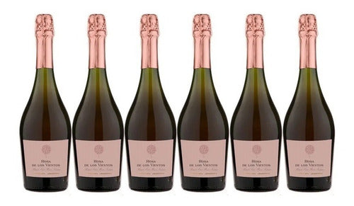 Champagne Rosa De Los Vientos Rose Pinot Noir Box of 6 units 750ml 0