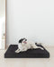 Lola Pets Alaska Large Dog Bed Mat 3