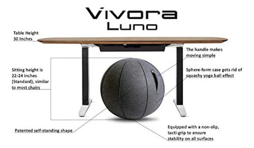 Vivora Luno Exercise Ball Chair, Felt, Standard 1