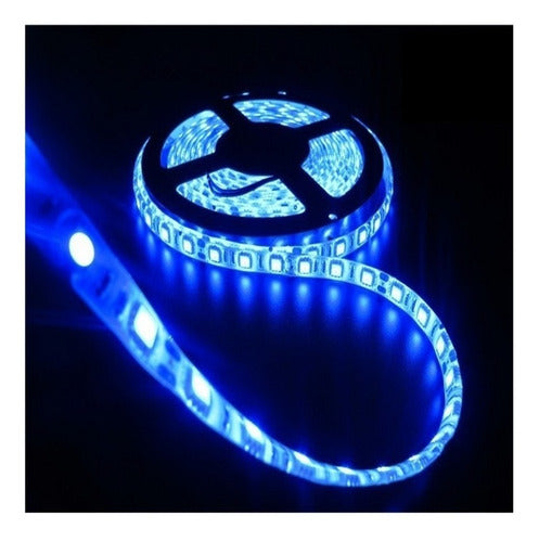 Silverled 5 Meter LED Strip with 220V Power Supply – White, Green, Blue or Red 5